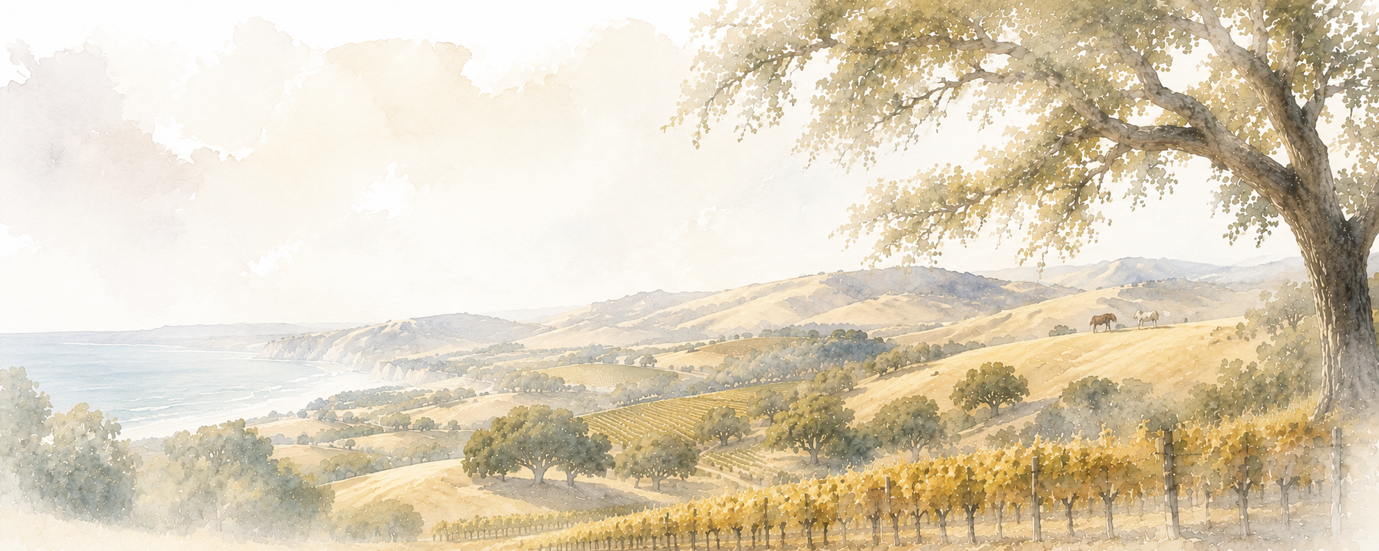 Paso Robles dining and wine country California